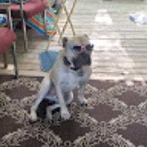 Meet your Posher, Hayden